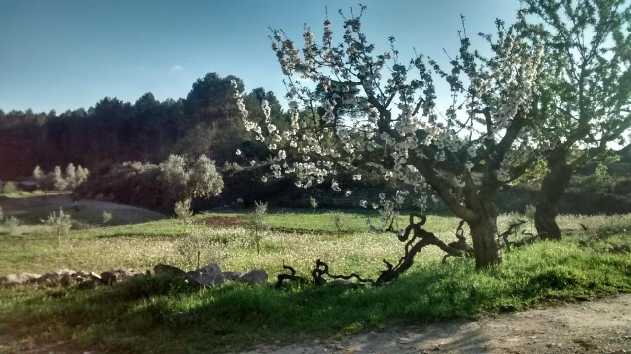 Casa Rumbet هورتا دي سان خوان المظهر الخارجي الصورة